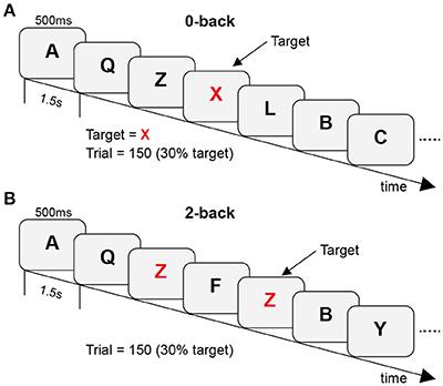 EEG Cortical Connectivity Analysis of Working Memory Reveals Topological Reorganization in Theta and Alpha Bands
